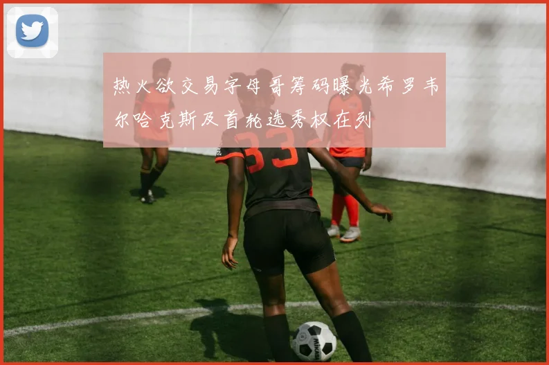 热火欲交易字母哥筹码曝光希罗韦尔哈克斯及首轮选秀权在列