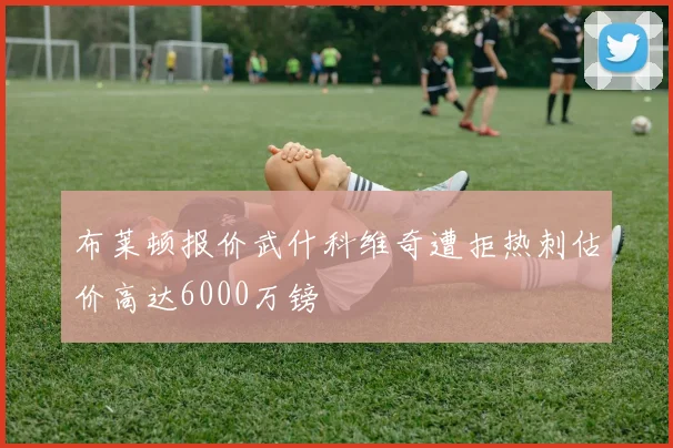 布莱顿报价武什科维奇遭拒热刺估价高达6000万镑