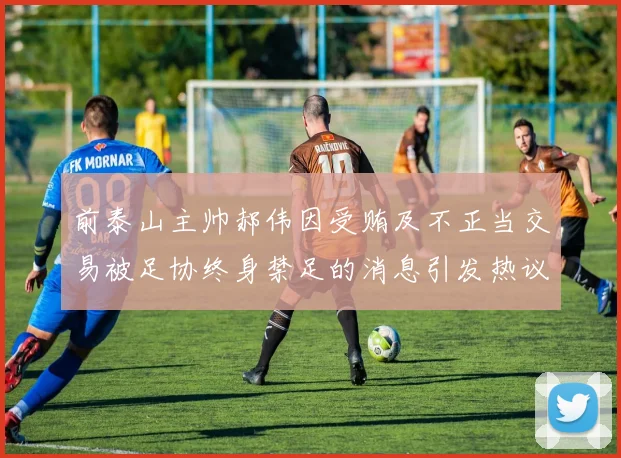 前泰山主帅郝伟因受贿及不正当交易被足协终身禁足的消息引发热议